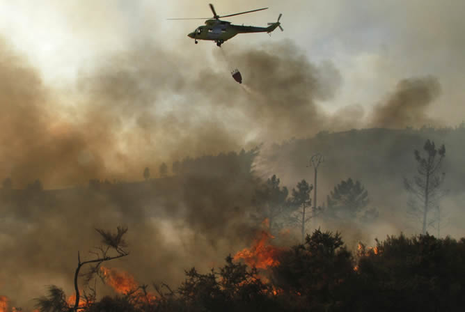 Forest fire, the main crime against the environment in Galicia |  Radio Coruña