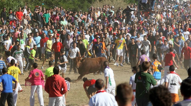 Torneo del Toro de la Vega el pasado 17 de septiembre en Tordesillas