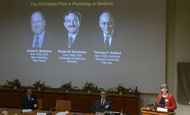 James E. Rothman, Randy W. Schekman y Thomas C. Südhof han sido galardonados con el Premio Nobel de Medicina por sus investigaciones sobre el sistema de transporte de las células