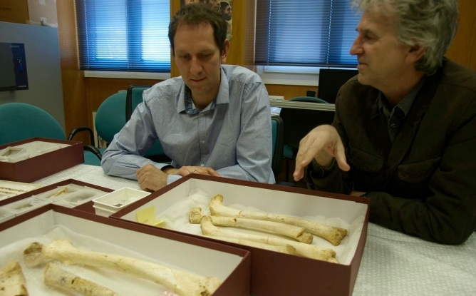 Dos investigadores junto al fémur de 400.000 años encontrado en Atapuerca