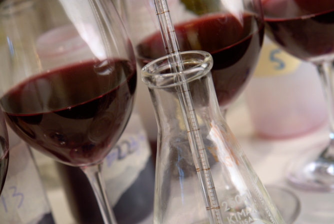El vino llega a la Facultad de Gastronomía del País Vasco