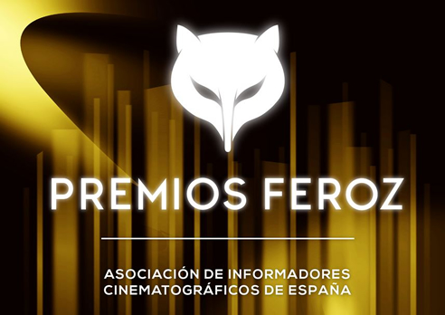 Imagen de los Premios Feroz 2014