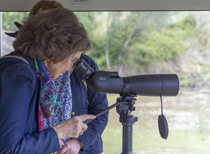 La Reina Sofía mira por un catalejo durante la visita al Parque Nacional de Doñana, con motivo del cincuentenario de la Estación Biológica