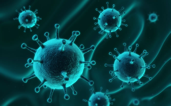 Científicos españoles descubren un nuevo sistema para intentar bloquear la entrada en las células del virus del sida