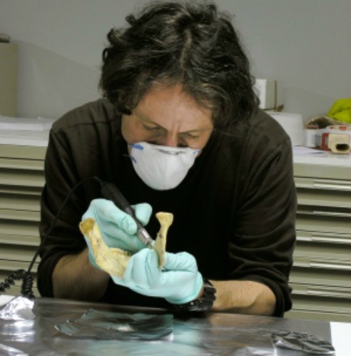 El paleontólogo Thomas Higham, de la Universidad de Oxford, analiza los restos óseos y herramientas realizadas por los neandertales