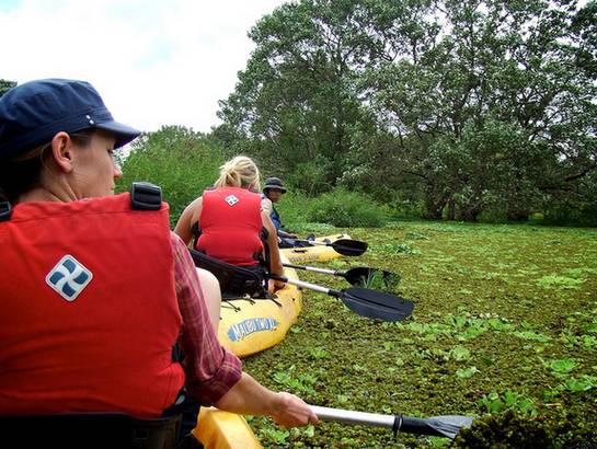 Ometepe: Nicaragua condensada en una isla | Viajes | Cadena SER