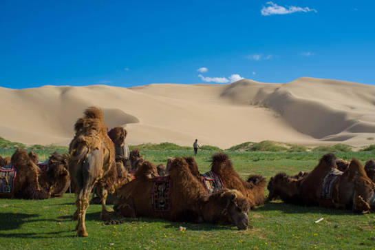 Desierto del Gobi