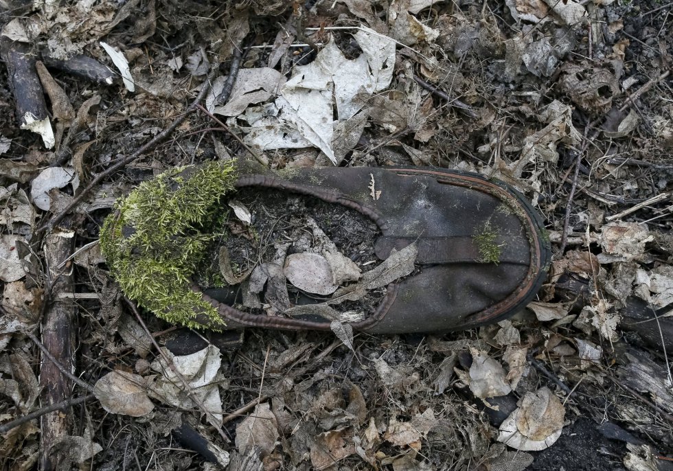 El musgo ha crecido durante estas tres décadas al rededor de la zapatilla de un niño en la ciudad fantasma de Pripyat. El musgo ha crecido durante estas tres décadas al rededor de la zapatilla de un niño en la ciudad fantasma de Pripyat.