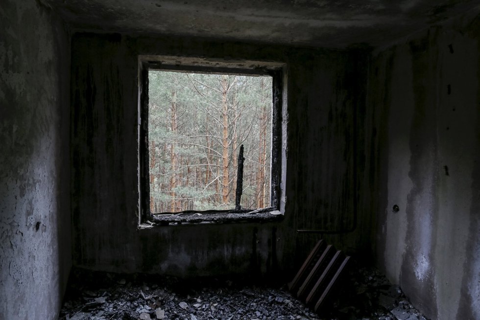 Árboles desde la ventana de un piso abandonado en la ciudad fantasma de Pripyat. Árboles desde la ventana de un piso abandonado en la ciudad fantasma de Pripyat.