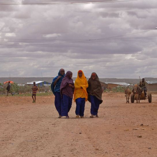 Dollo Ado empezó a recibir refugiados de Somalia en 2010. Está a tan solo 70 kilómetros de la frontera somalí y está dividido en 5 campos.