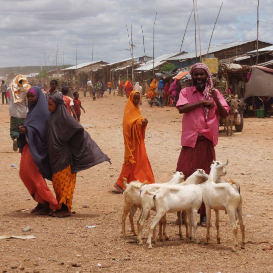 Etiopía y el Cuerno de África están afrontando la peor sequía en más de 30 años debido a 'El Niño', provocando migraciones forzadas de la población.