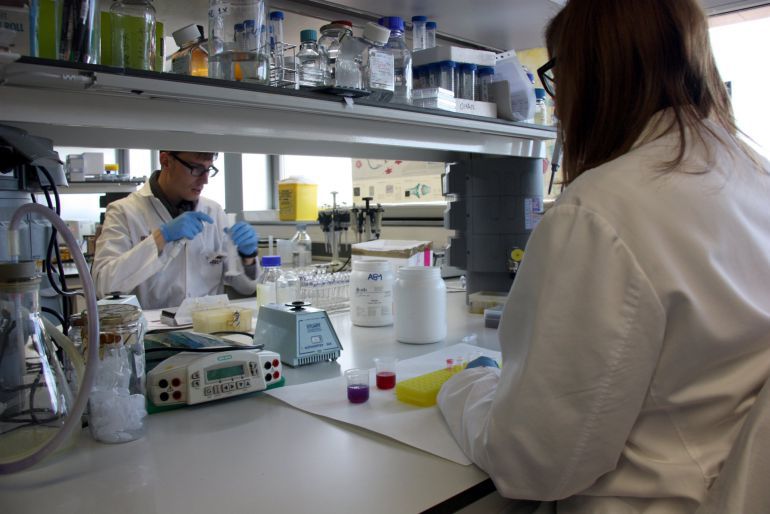 Un grupo de investigadores CNIO trabaja en la búsqueda de nuevos tratamientos contra el cáncer.