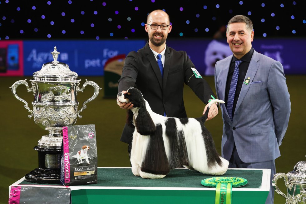 "Miami es bastante especial... estoy absolutamente sorprendido y emocionado", aseguró su cuidador Jason Lynn, tras conocer que su perro era el ganador absoluto. "Miami es bastante especial... estoy absolutamente sorprendido y emocionado", aseguró su cuidador Jason Lynn, tras conocer que su perro era el ganador absoluto.
