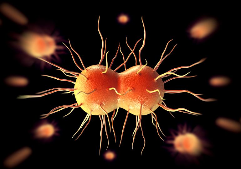 Bacteria que provoca la gonorrea