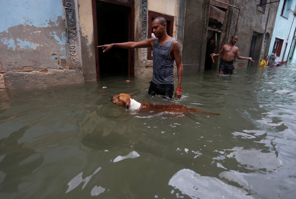Un hombre da indicaciones a su perro, que nada por una calle inundada. Un hombre da indicaciones a su perro, que nada por una calle inundada.
