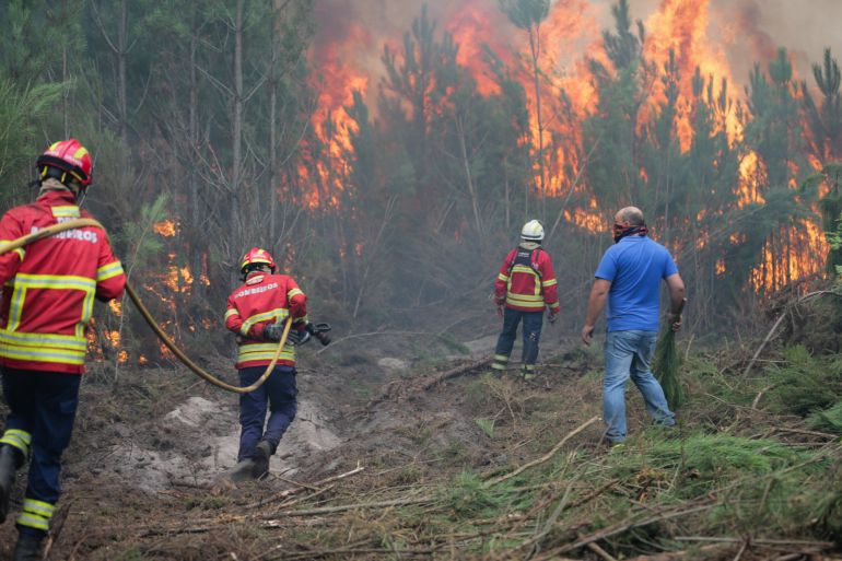 Mil Bomberos Forestales Despedidos Ciencia Y Tecnologia Cadena Ser