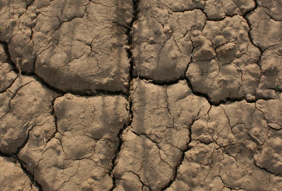 La peor sequía en España en décadas La peor sequía en España en décadas