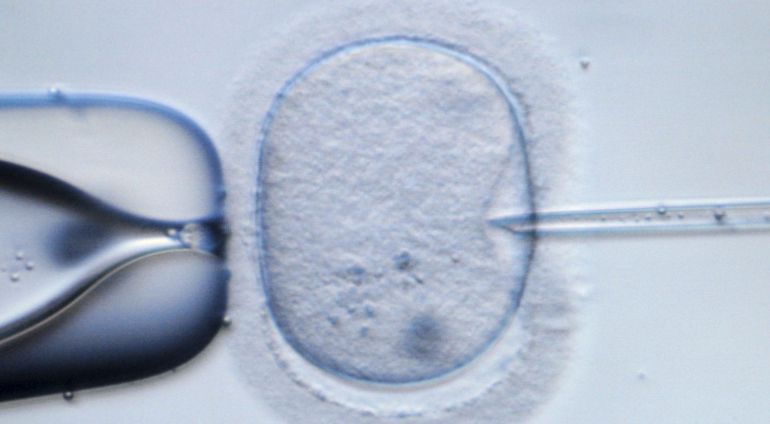El embrión humano congelado más antiguo que ha terminado en el  nacimiento de un bebé en Estados Unidos tiene 25 años.