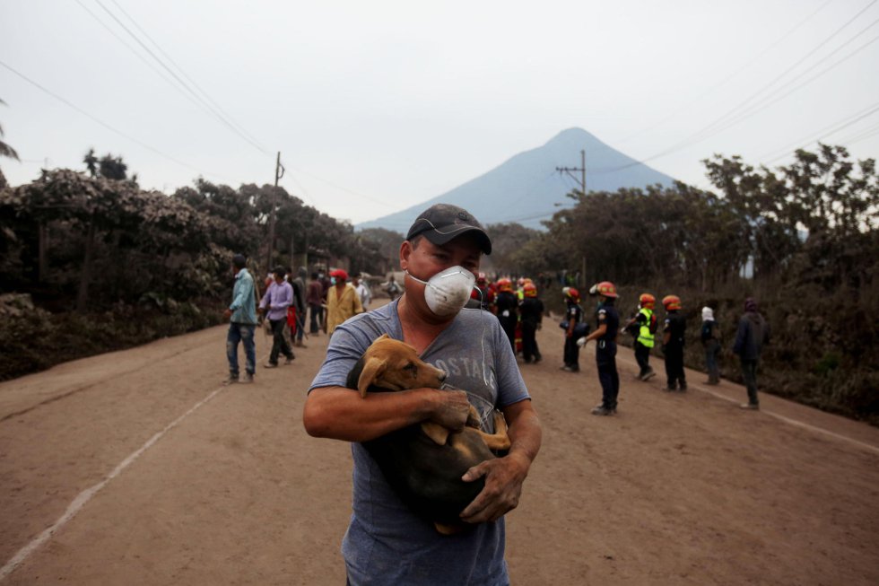 Un hombre rescata un cachorro después de la erupción del volcán de Fuego Un hombre rescata un cachorro después de la erupción del volcán de Fuego