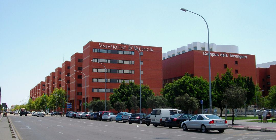 La Universidad de Valencia retira tres másteres sobre pseudoterapias médicas
