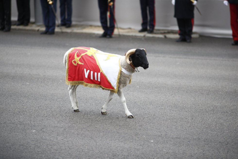 La cabra de la Legión en el desfile del 12 de Octubre en Madrid, Día de la Hispanidad.
La cabra de la Legión en el desfile del 12 de Octubre en Madrid, Día de la Hispanidad.