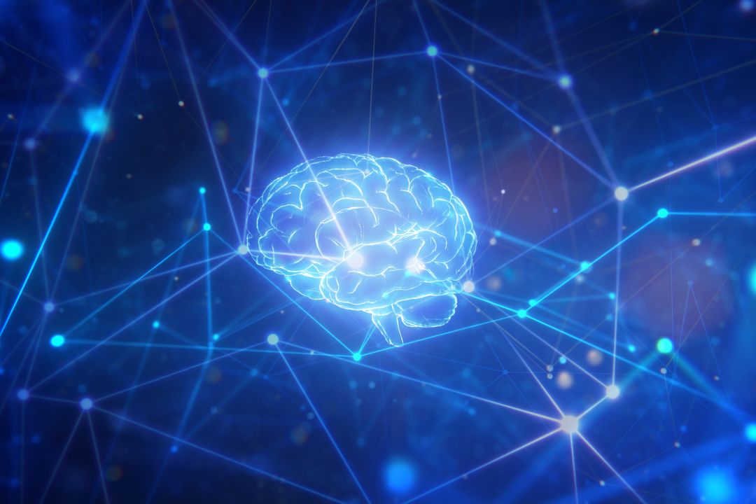 Resultado de imagen para células cerebrales utilizando un smartphone