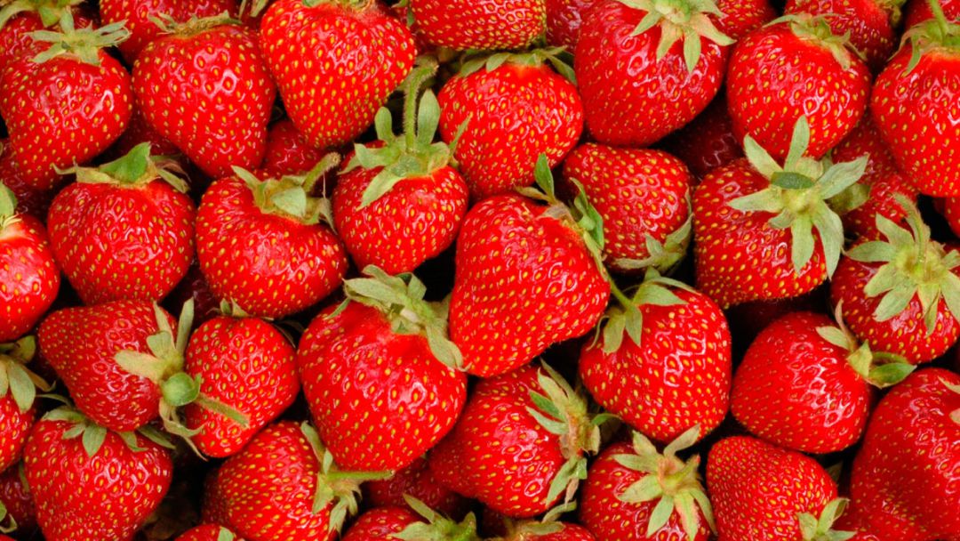 Resultado de imagen de fresas