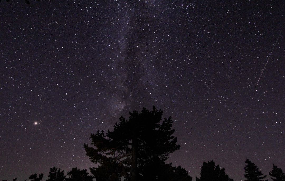 Cómo y dónde ver las Leónidas, la famosa lluvia de estrellas de