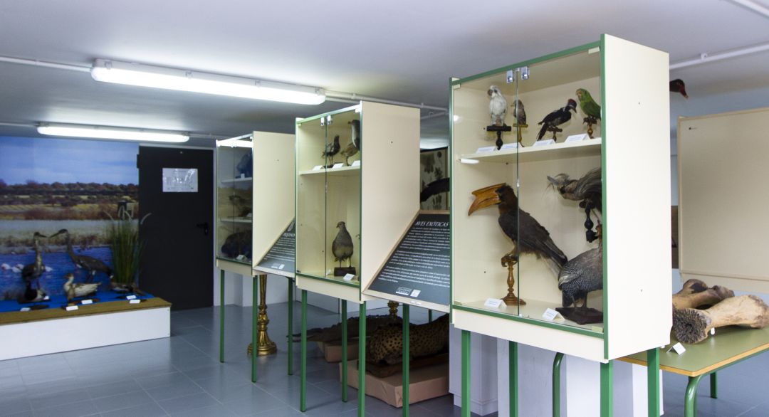 Gabinete de Historia Natural de Juan Giménez de Aguilar.