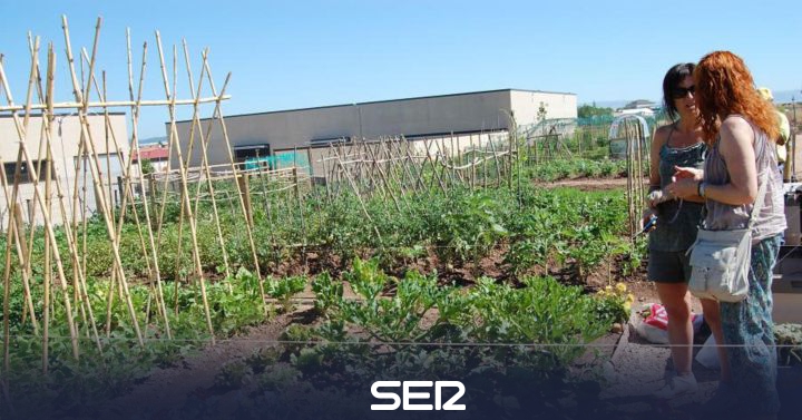 El programa de huertos municipales registra 56 solicitudes en la fase