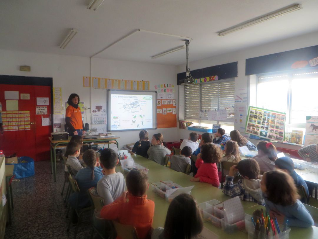 Imagen de una clase en Cantabria. 
