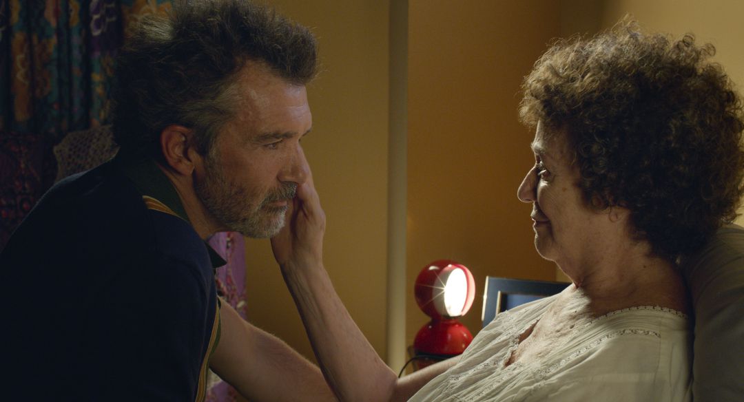 Image result for dolor y gloria