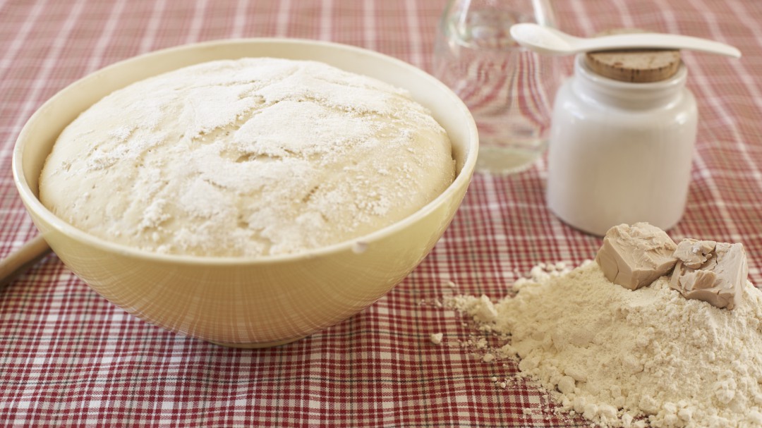 Vinos y panes de mayor calidad a través del estudio de las levaduras