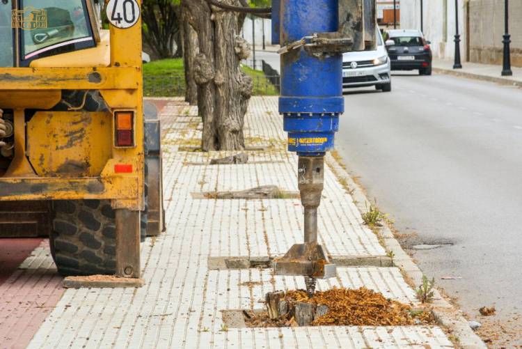 Se llevan a cabo los trabajos de repoblación de árboles y reparación de