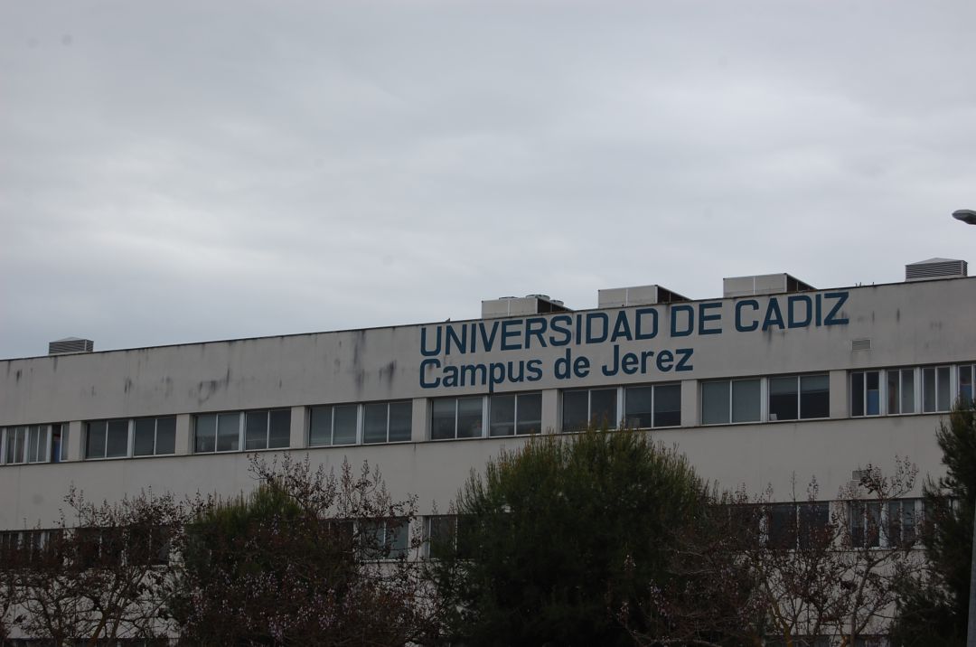 El campus universitario de Jerez impartirá el próximo curso un nuevo