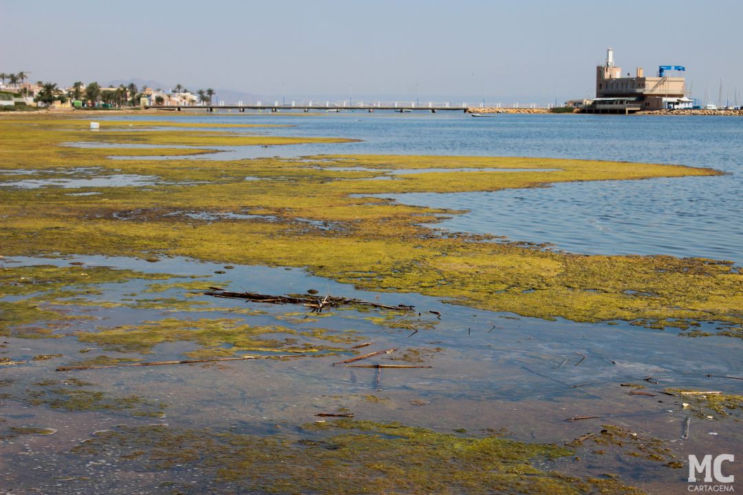 Vecinos de Estrella de Mar piden una pasarela que les garantice un baño