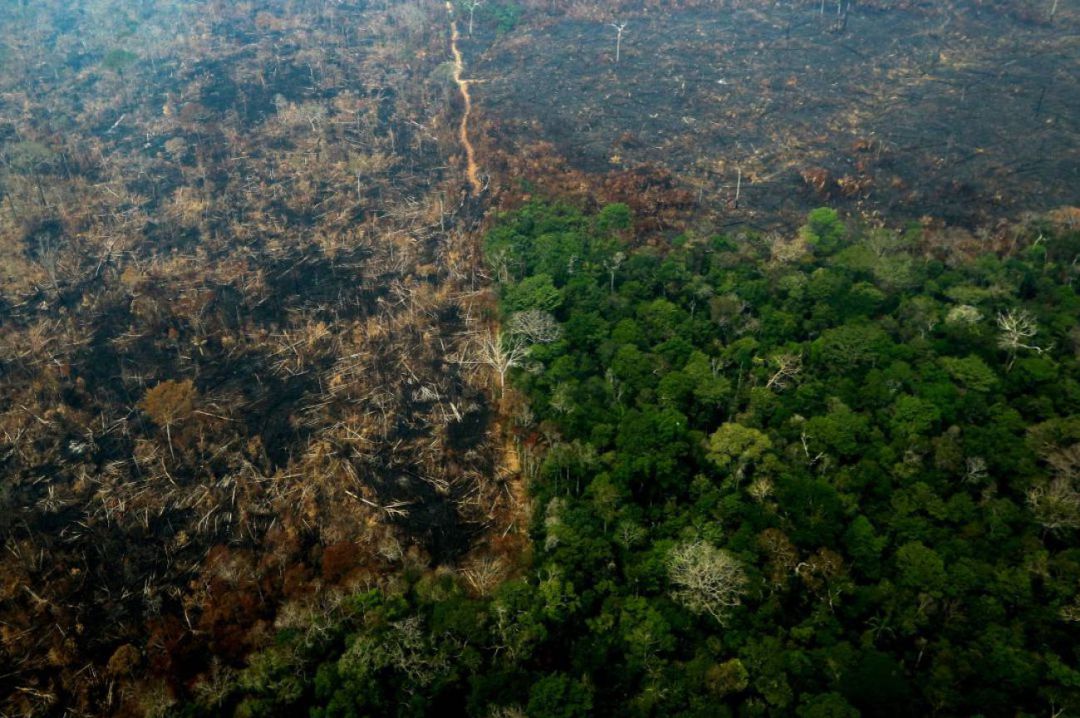 Más de 76.620 fuegos han quemado la Amazonia en lo que va de año.