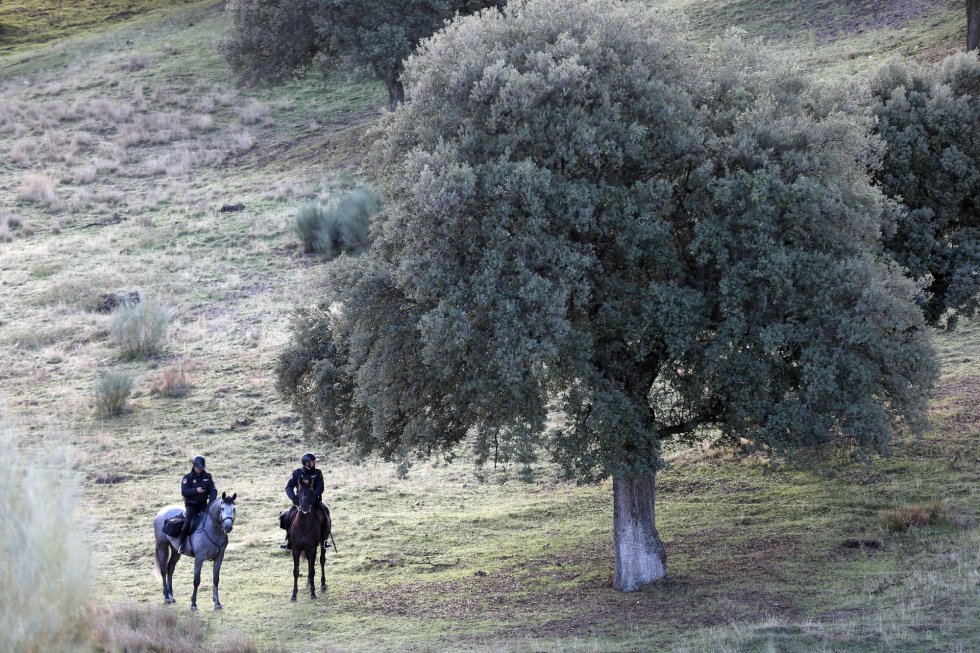 Efectivos de la Policía Nacional vigilan la zona de El Monte de El Pardo en la que aterrizará el helicóptero que trasladará los restos de Francisco Franco desde El Valle de los Caídos hasta el cementerio de El Pardo-Mingorrubio Efectivos de la Policía Nacional vigilan la zona de El Monte de El Pardo en la que aterrizará el helicóptero que trasladará los restos de Francisco Franco desde El Valle de los Caídos hasta el cementerio de El Pardo-Mingorrubio