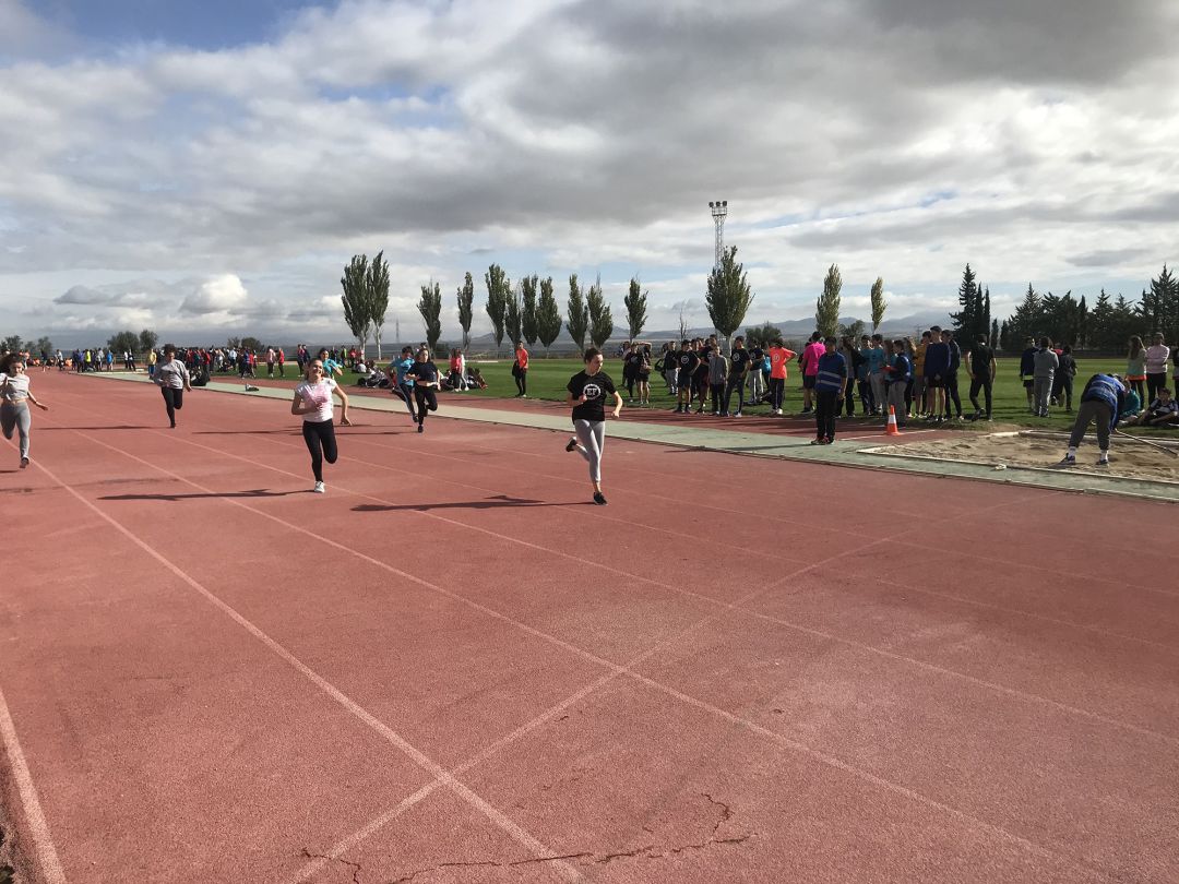 Más de mil escolares participan en las Olimpiadas de ...