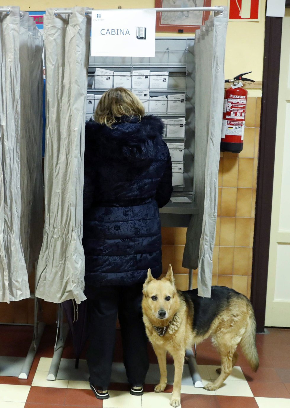 Una mujer acompañada de su perro elige sus papeletas en un colegio electoral de Oviedo Una mujer acompañada de su perro elige sus papeletas en un colegio electoral de Oviedo