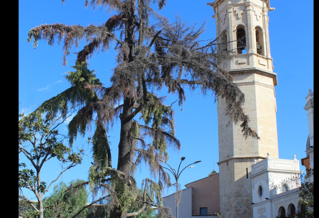 Fiestas para solteros san enrique de guadiaro Fiestas para solteros san enrique de guadiaro