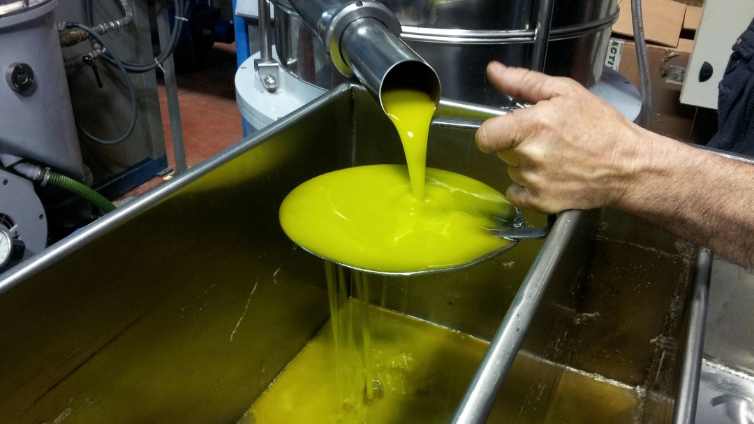 Производство оливкового масла. Как давят подсолнечное масло. Как выдавливают косточку из оливок в производстве.