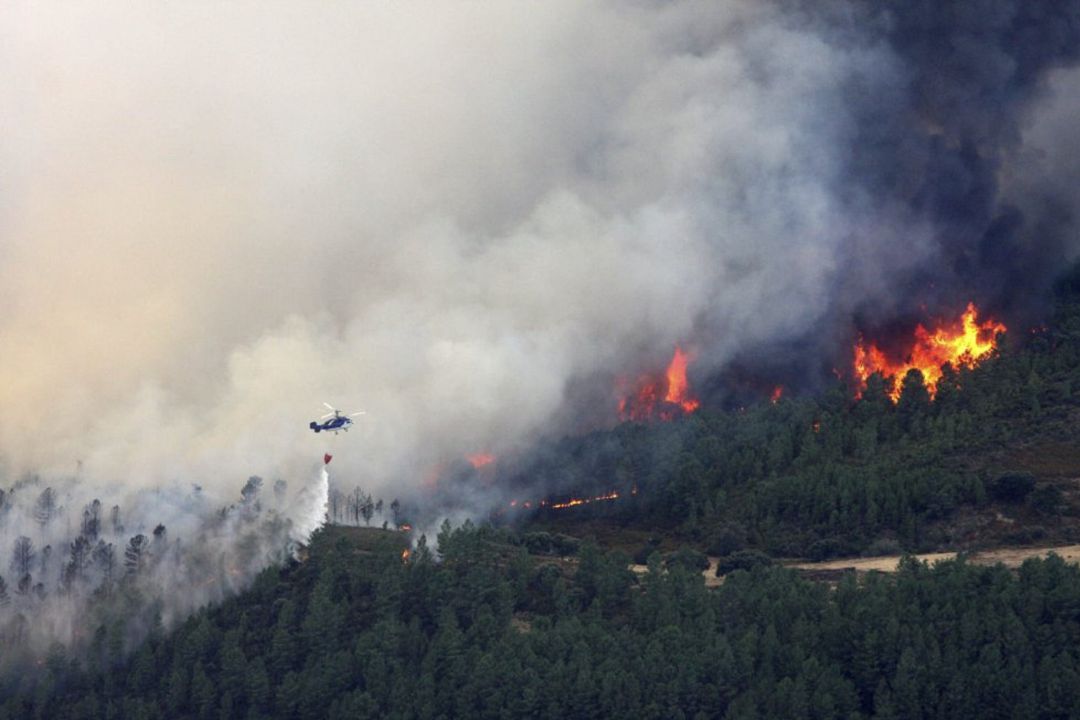 Incendio forestal declarado en el 2015 en Acebo (Cáceres)
