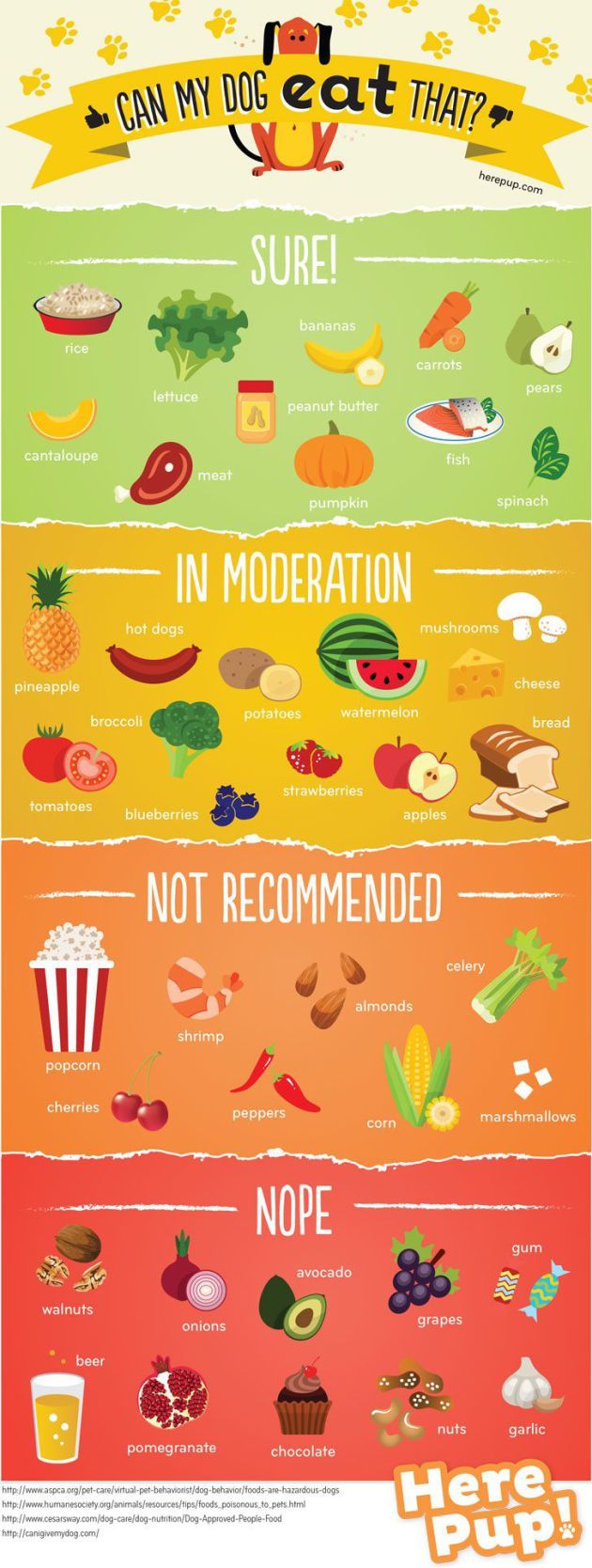 Infografía sobre los alimentos que puede comer un perro.