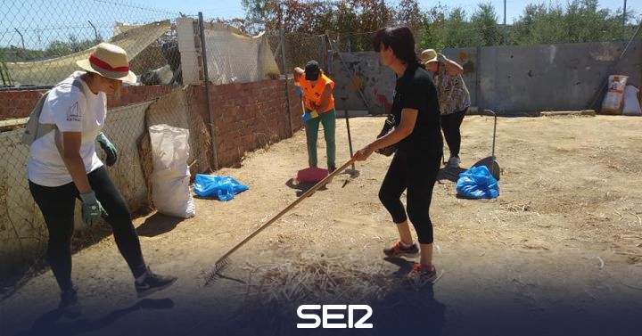 Arconatura Retrasara Su Traslado Al Nuevo Albergue De Mascotas En Linares Radio Linares Cadena Ser