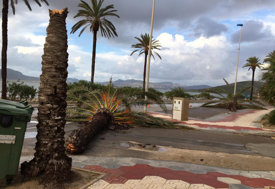 El Viento Y El Oleaje Se Dejan Notar En La Manga Y Cabo De Palos Radio Cartagena Cadena Ser