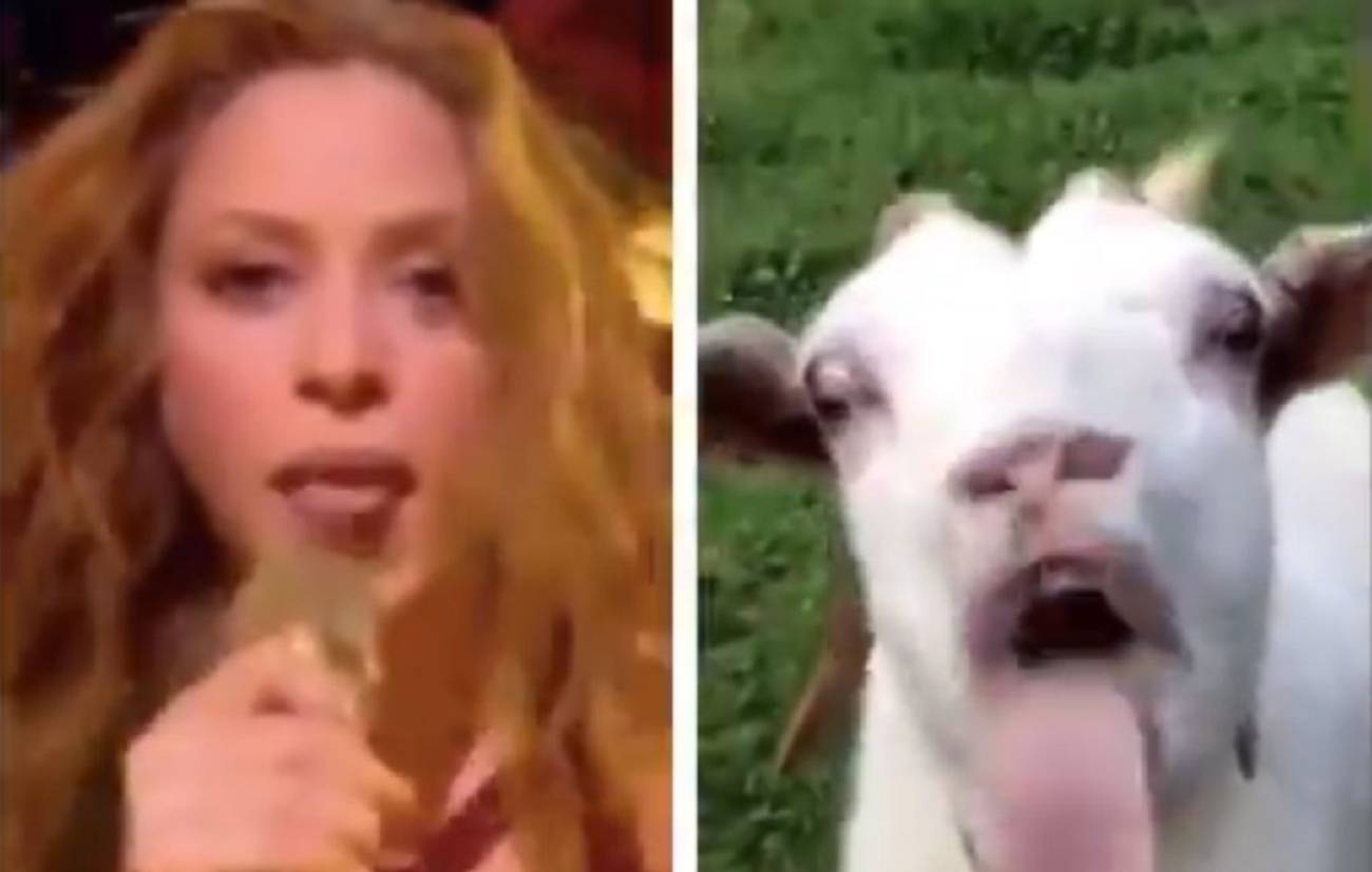Los Mejores Memes De La Super Bowl 2020 De La Lengua De Shakira Al Vestuario De Bad Bunny Deportes Cadena Ser