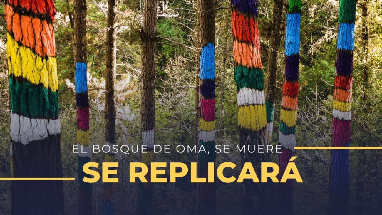 bosque de oma kortezubi visitar: Bizkaia presenta un plan ...
