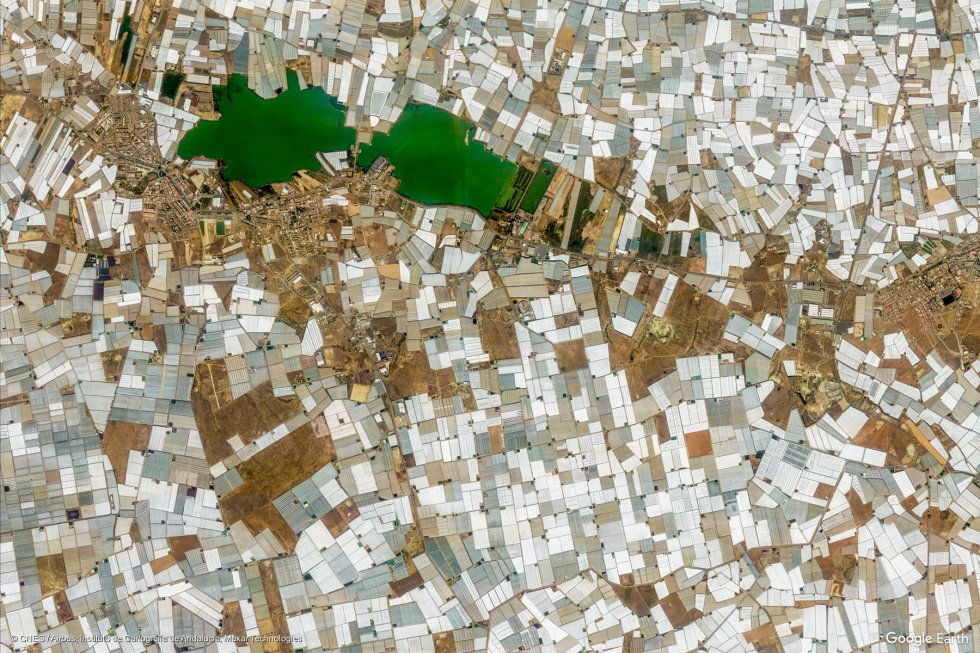 El Ejido (Almería). Los invernaderos cubiertos de plásticos blancos de los campos de la localidad almeriense, desde el satélite. El Ejido (Almería). Los invernaderos cubiertos de plásticos blancos de los campos de la localidad almeriense, desde el satélite.