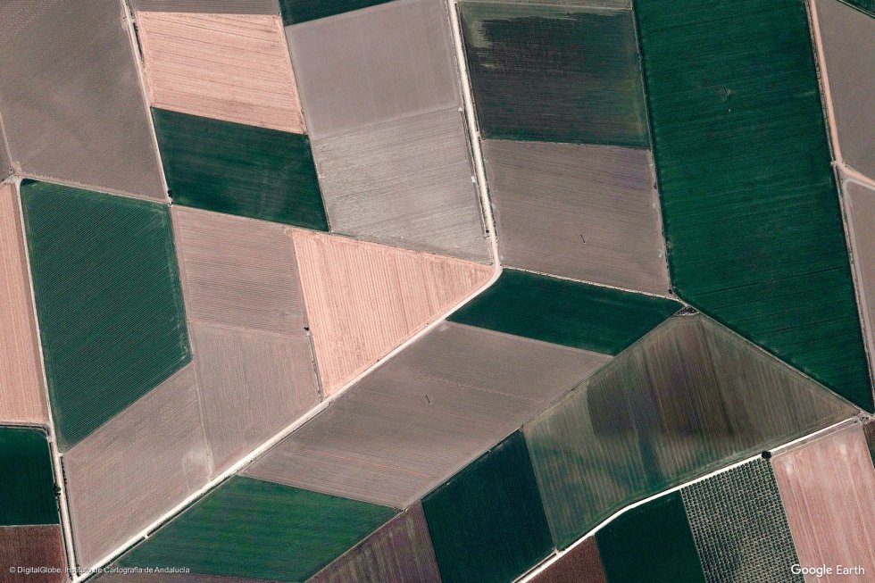 Campos de cultivo en Utrera (Sevilla). Campos de cultivo en Utrera (Sevilla).